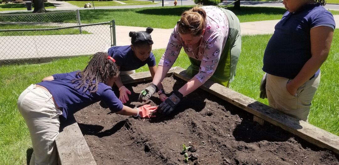 Raised Garden120190603_132334